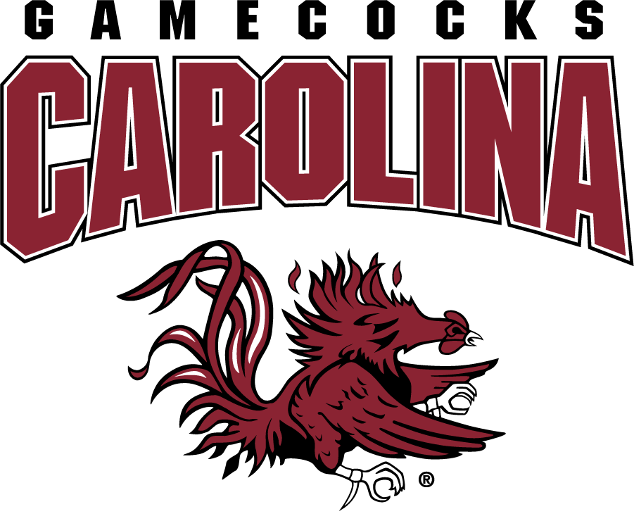 South Carolina Gamecocks 2008-2018 Alternate Logo v3 diy DTF decal sticker